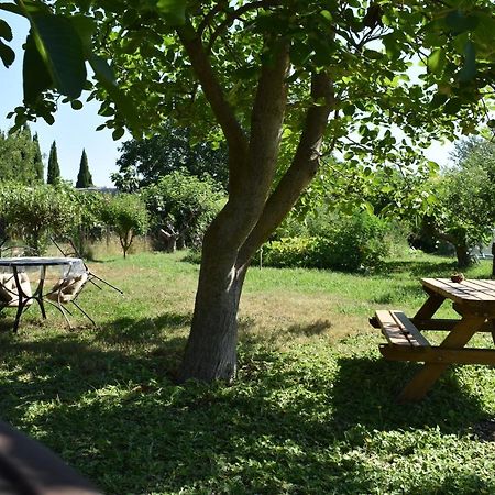 Mobil-Home Sur Terrain Bucolique Hyères Esterno foto